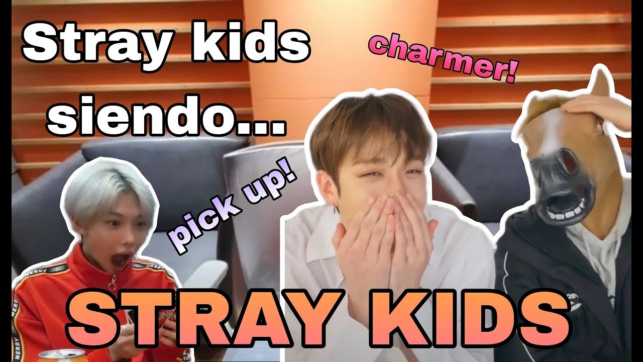 Stray Kids siendo Stray Kids cada momento