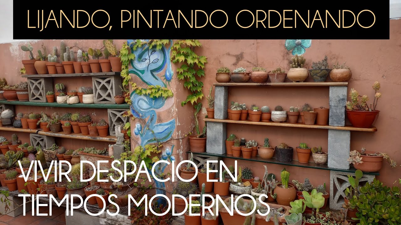 ARREGLOS EN CACTARIO/CERCA ARTESANAL #lasplantasdegeral #garden #jardin #cactusysuculentas #cactus 