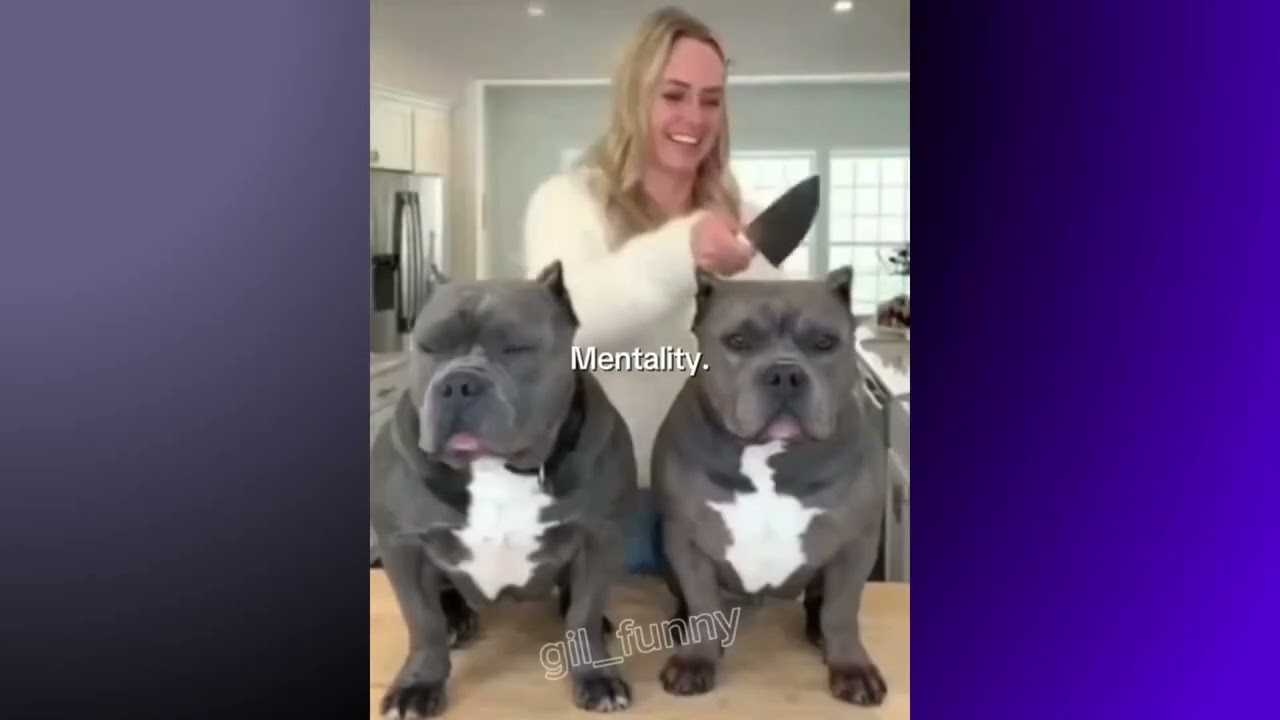 Не засмейся|или засмейся tiktok ver.13