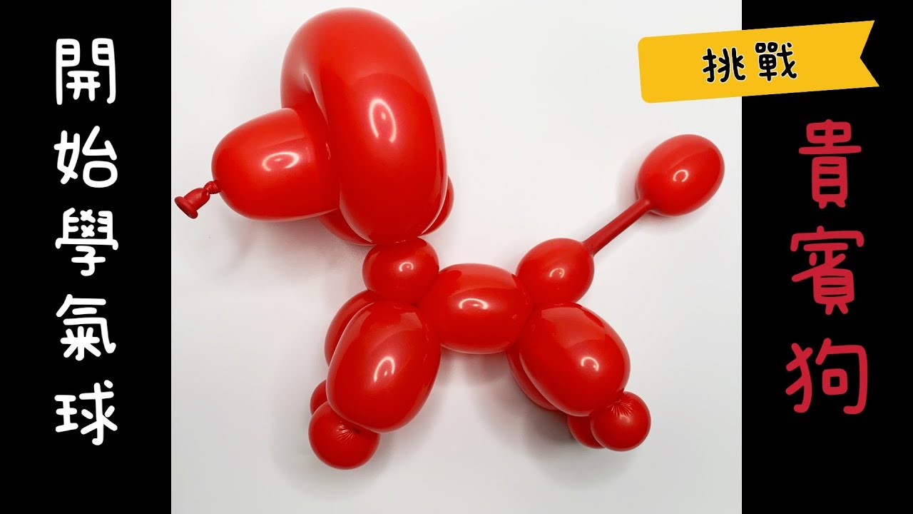 【氣球師米奇】入門#4 How to make balloon poodle dog氣球教學貴賓狗