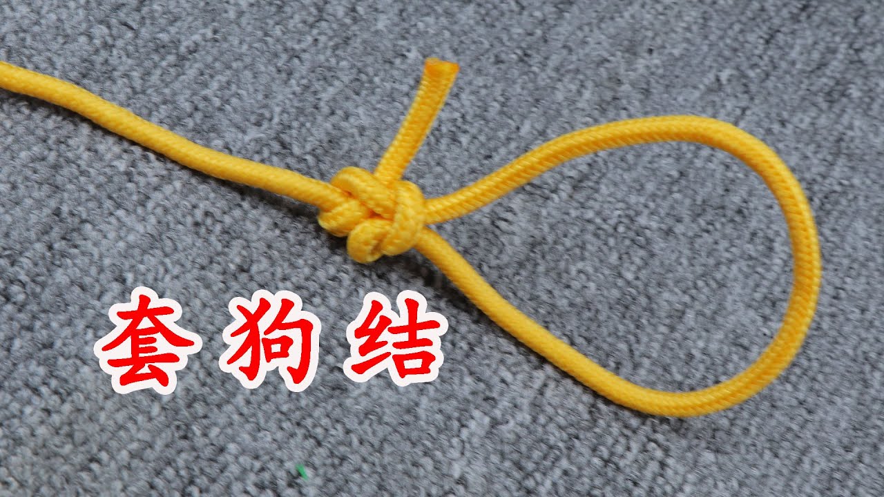 套狗结，挂在狗狗脖子上受力不怕被勒紧，生活中很实用