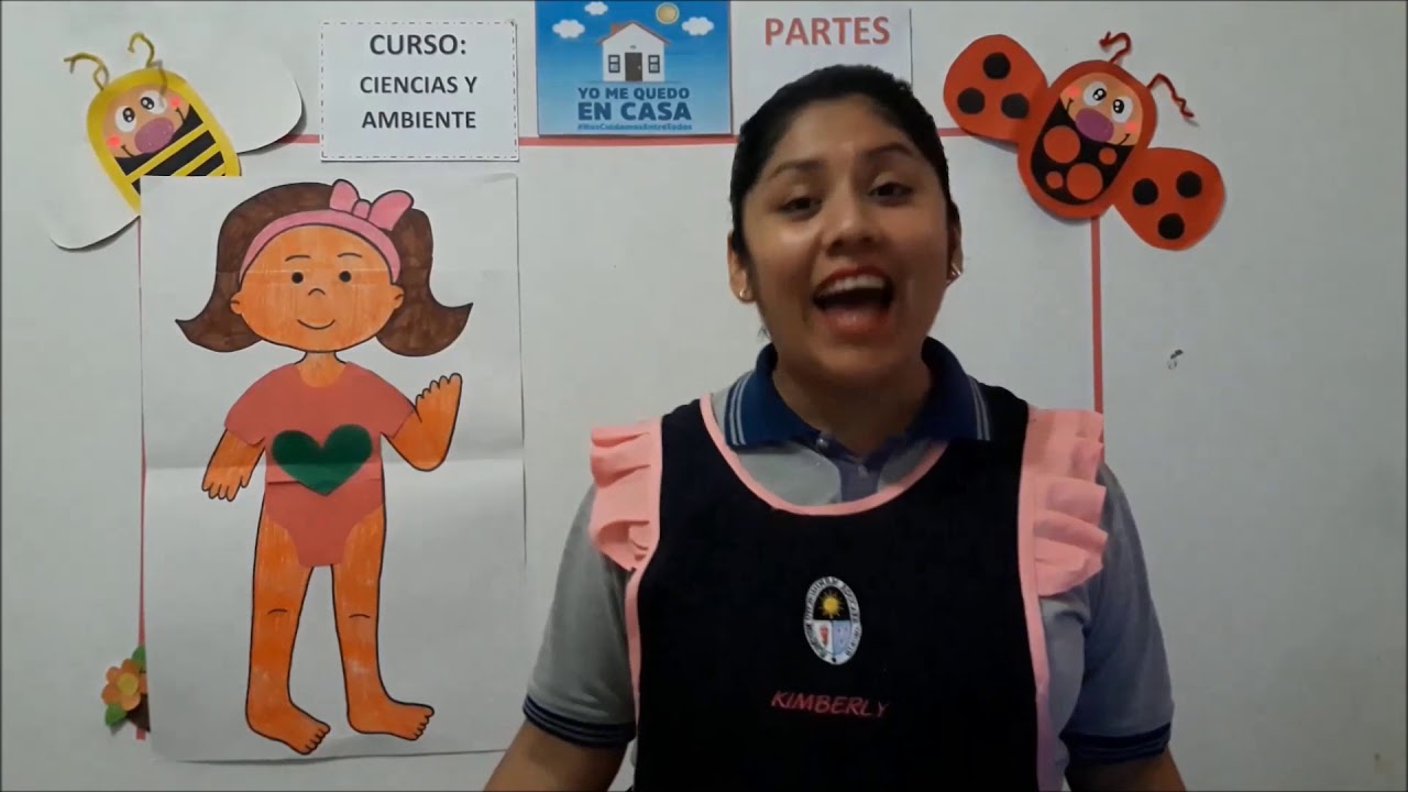 PARTES DEL CUERPO , para niños de 3 años , nivel inicial