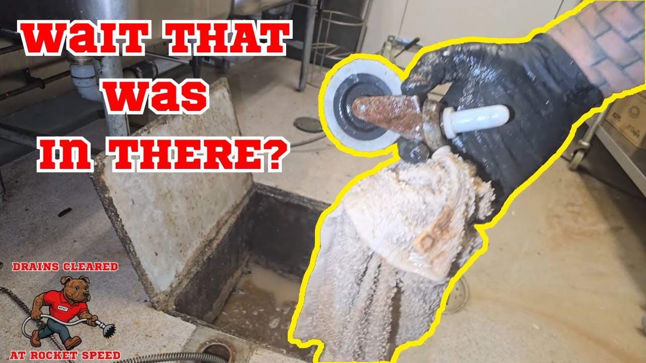 Ты не поверишь, что я нашёл в этом жироуловителе, Брюс. @DrainCleaningAUSTRALIA