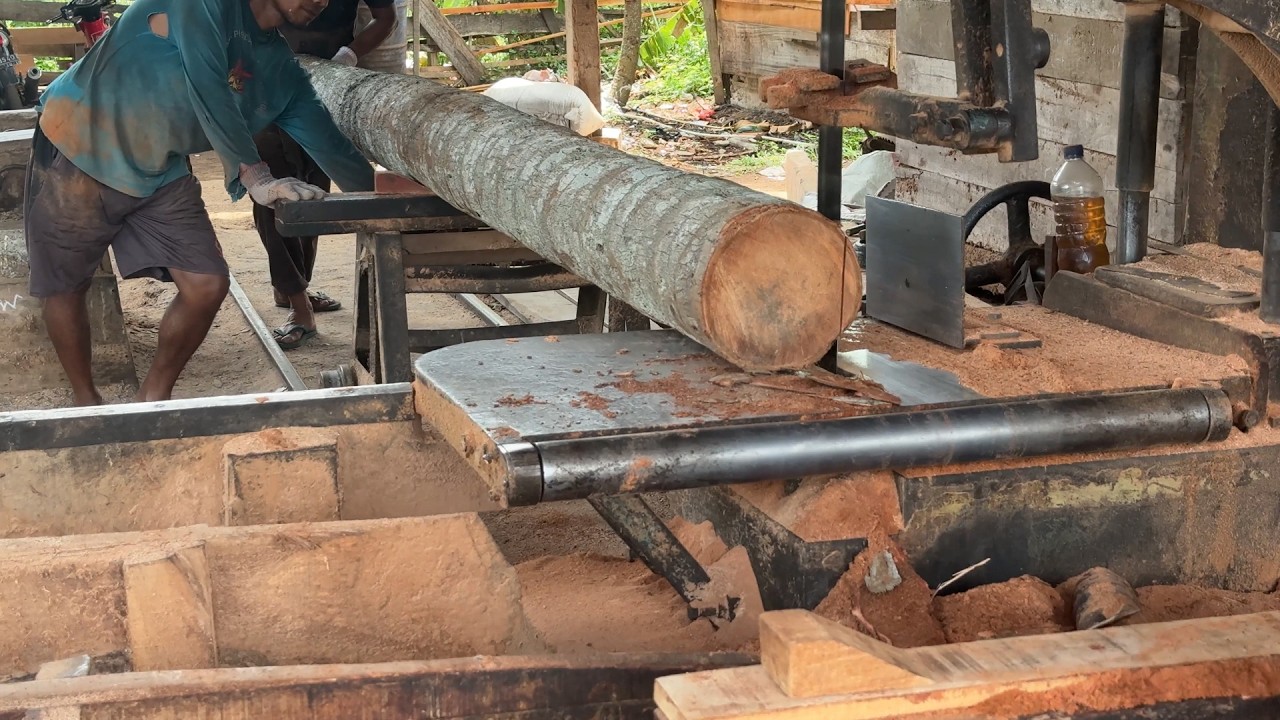 Saw Machine Processes 5x7 Coconut Trees Perfectly