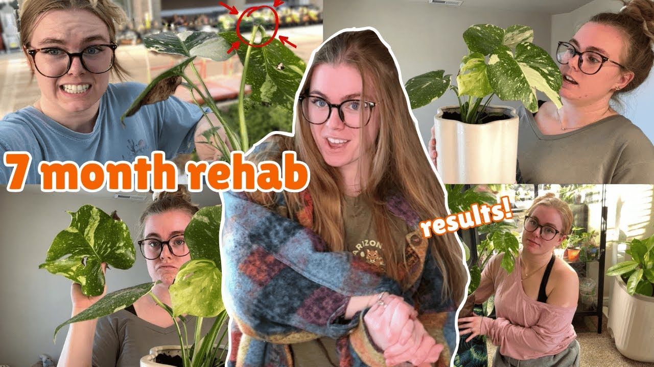 Спасение двух умирающих редких растений из крупного строительного магазина Home Depot ☠️ 7 месяце...