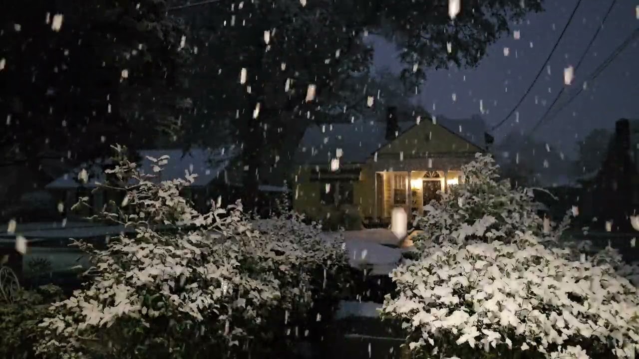 Relaxation | Snowy Night Into The Morning