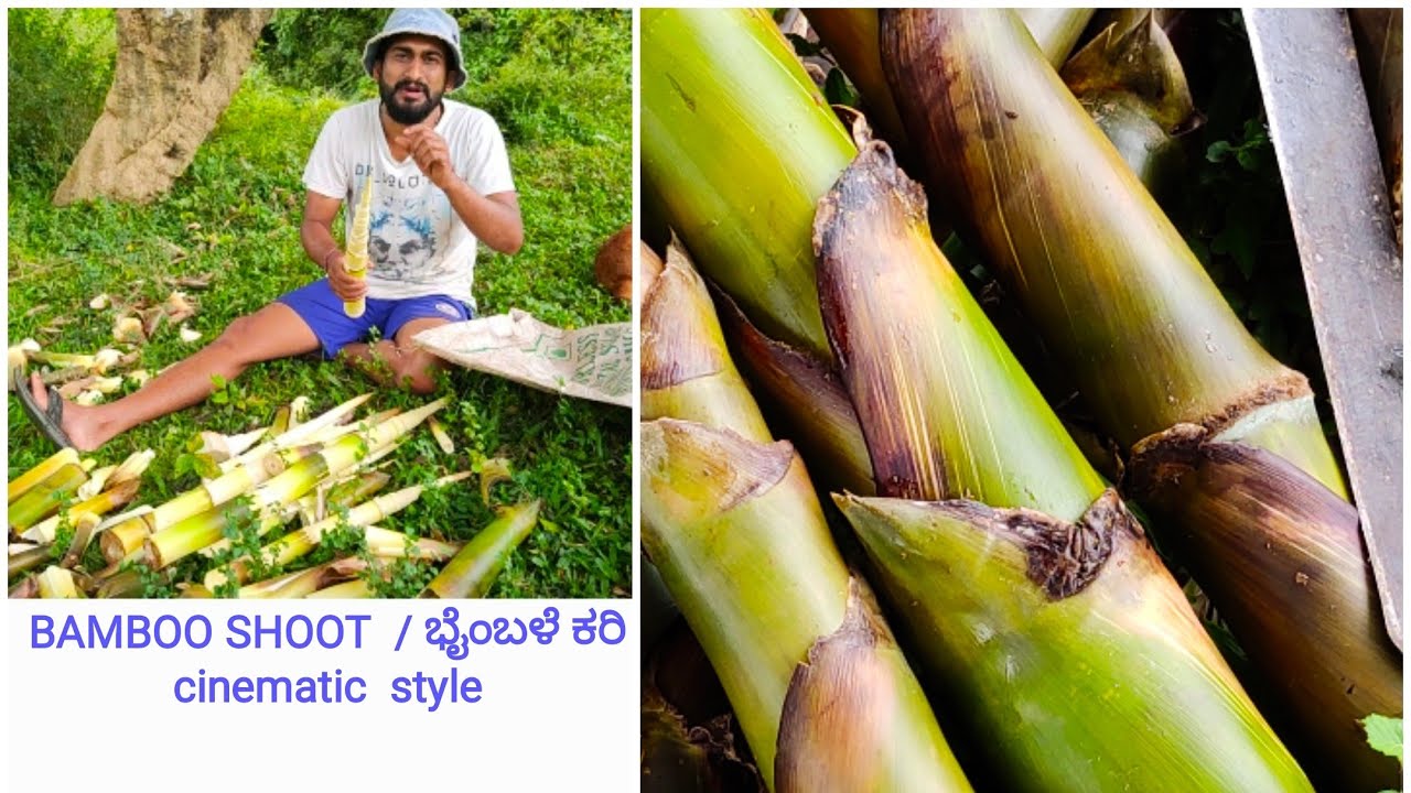BAMBOO SHOOT CURRY / ಭೈಂಬಳೆ ಕರಿ / ಕಳಲೆ ಕರಿ .#KodaguFood . Cinematic style video . @bheemsdream5841