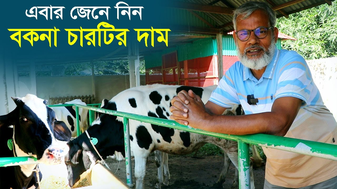 1236- এবার জানুন  চিত্রপুরী এগ্রোর চারটি বকনা কত দিয়ে কিনেছি  R.I Manik.Chitrapuri Krishichitra