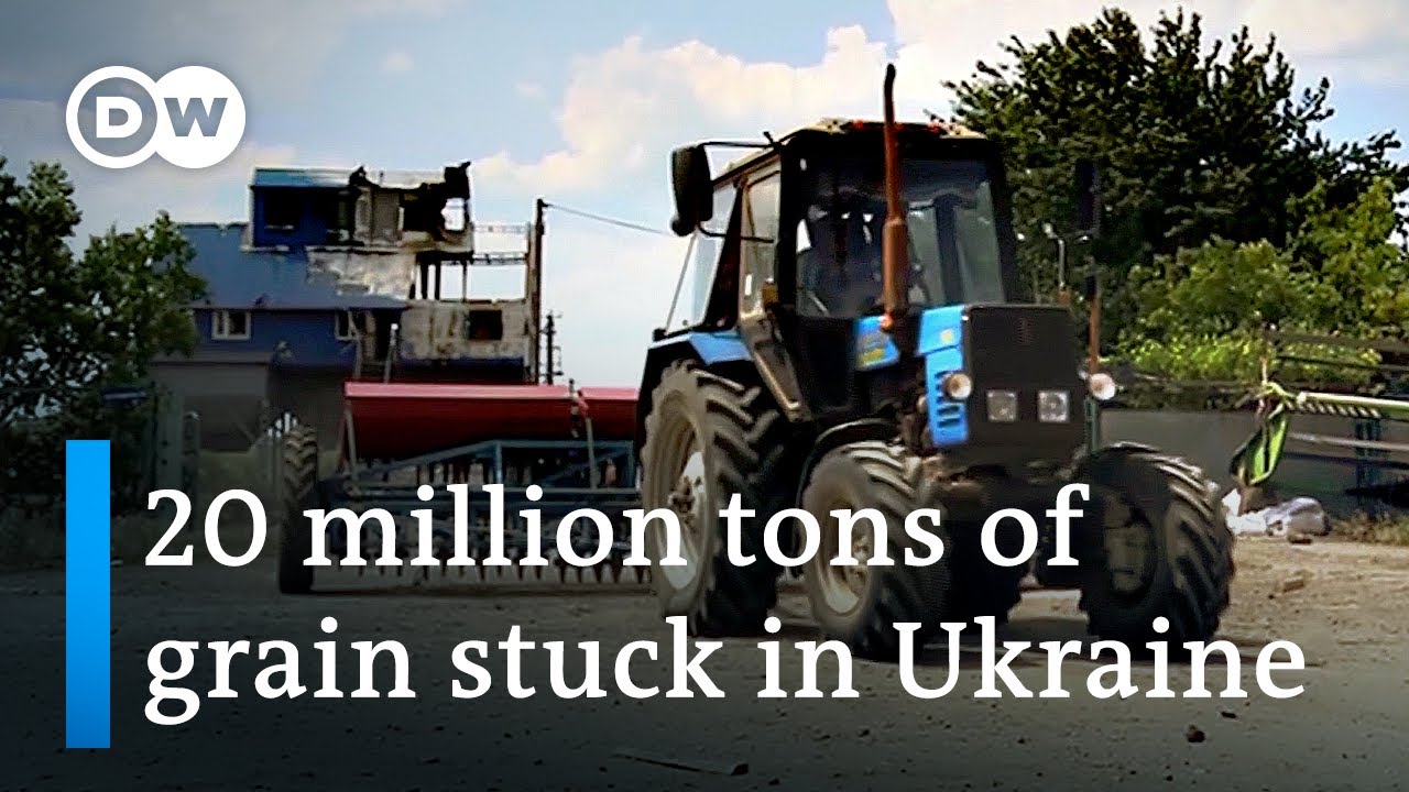 How the Ukraine War is impacting global grain supplies | DW News