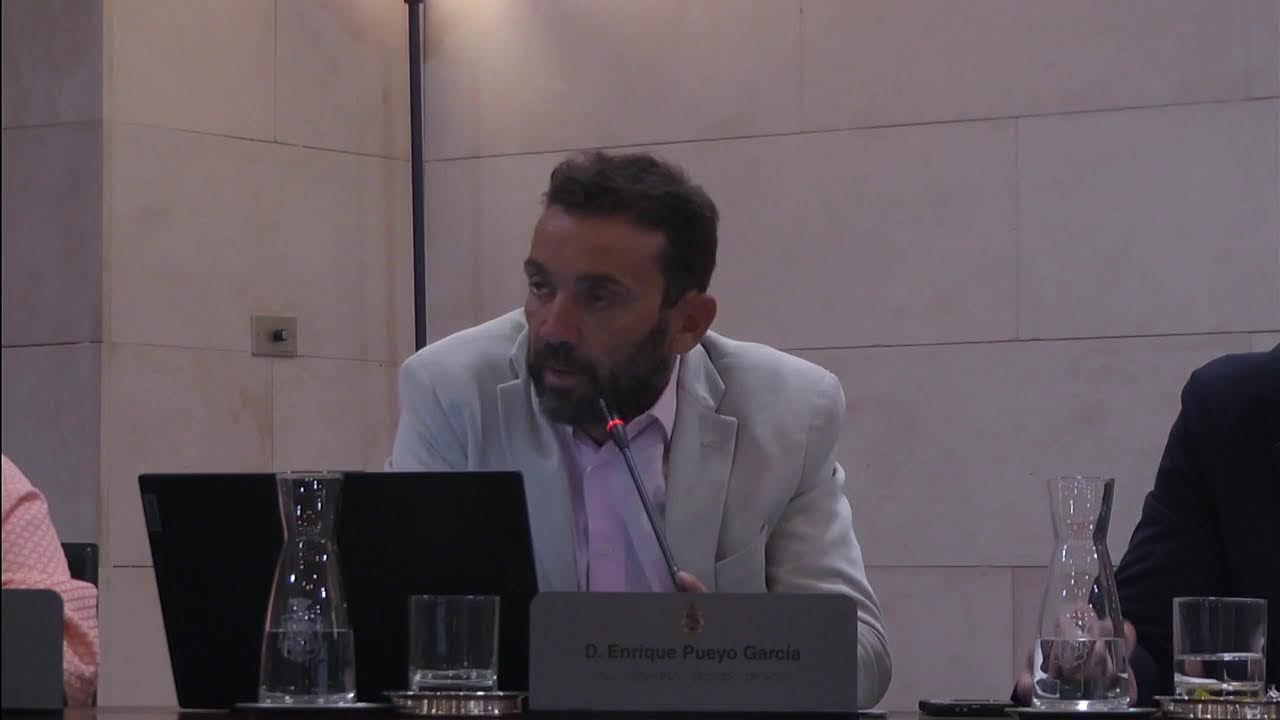 Pleno ordinario. Septiembre 2025