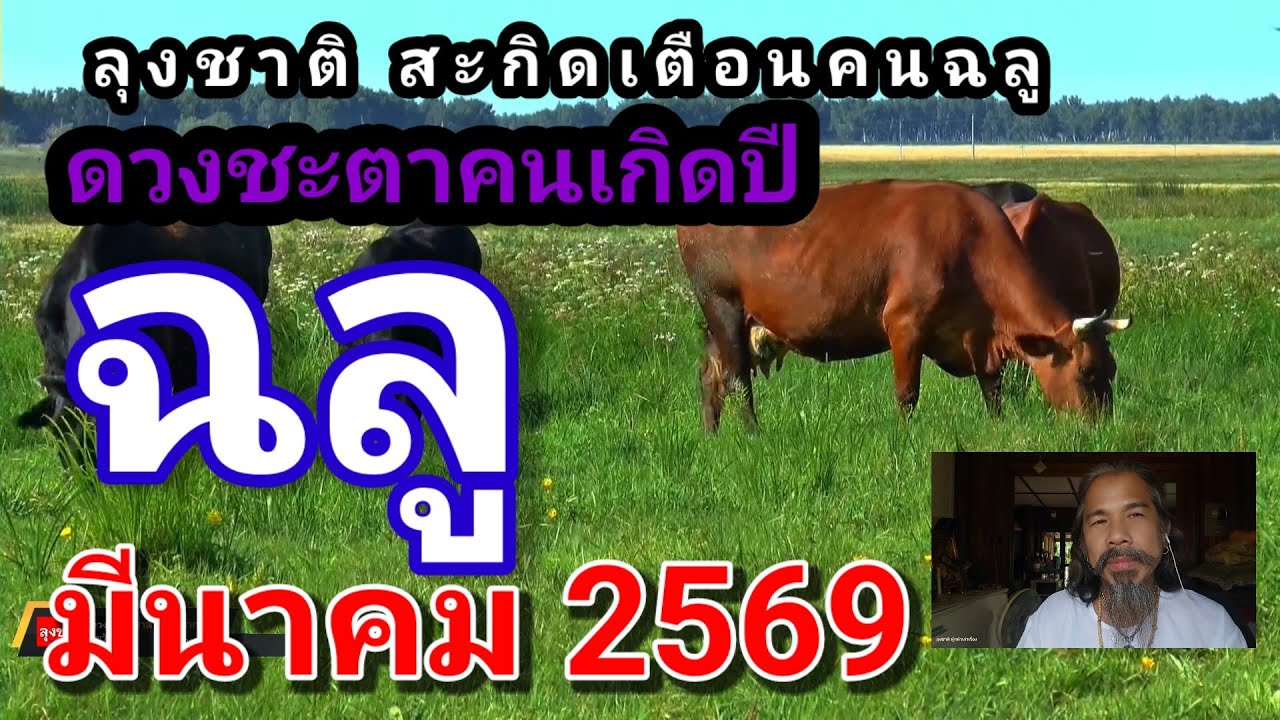 ดวงชะตาคนเกิดปีฉลู ประจำเดือนมีนาคม 2569#ดูดวง @Longchat 