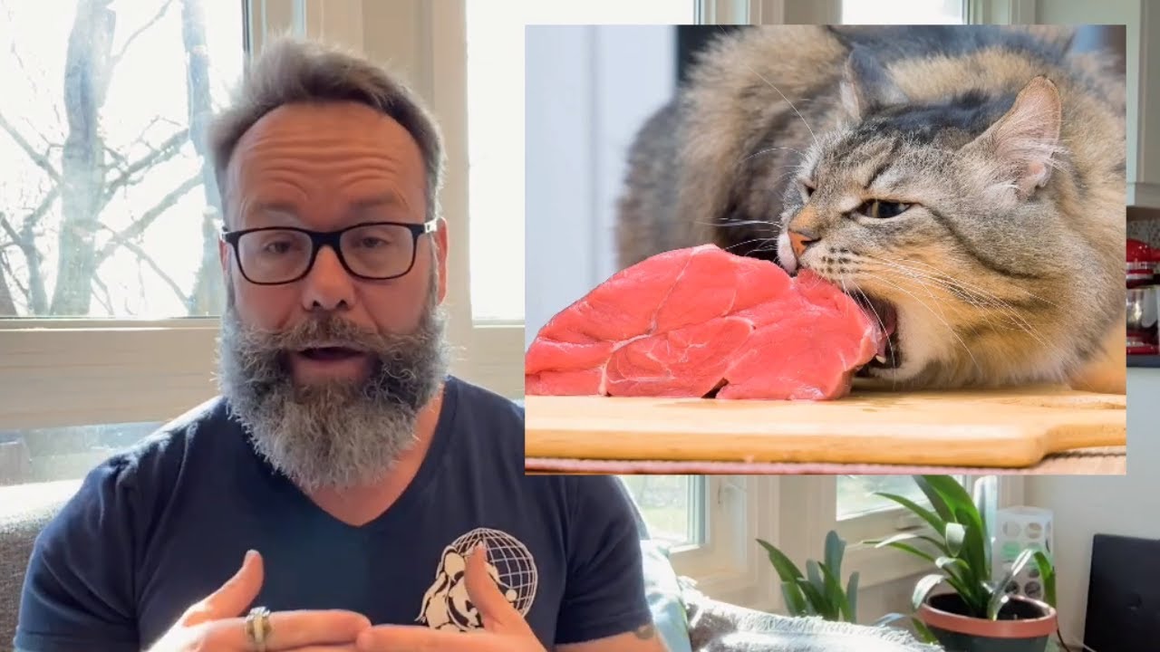 Can you feed your cat a vegan diet?