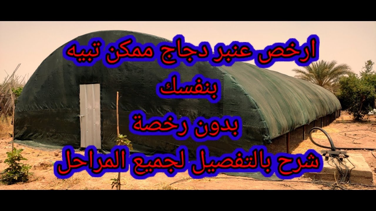 ارخص عنبر دجاج ممكن تبنيه بنفسك فكرة رائعة (الخيش و التبن) ✌️😍🤩💯💯💯