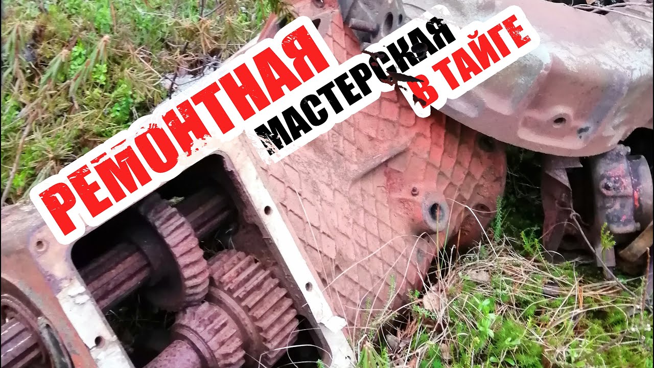 Невероятные находки на вездеходе в тайге!