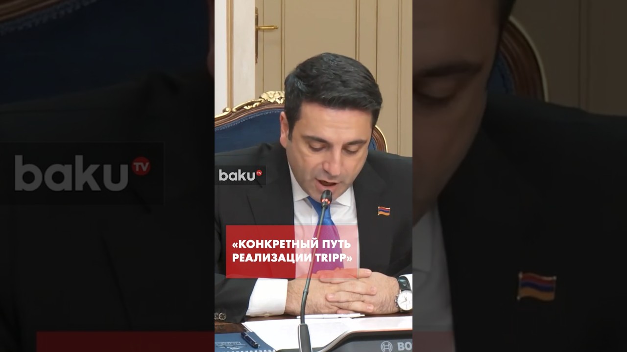 Ален Симонян о разблокировке транспортных коммуникаций и реализации TRIPP