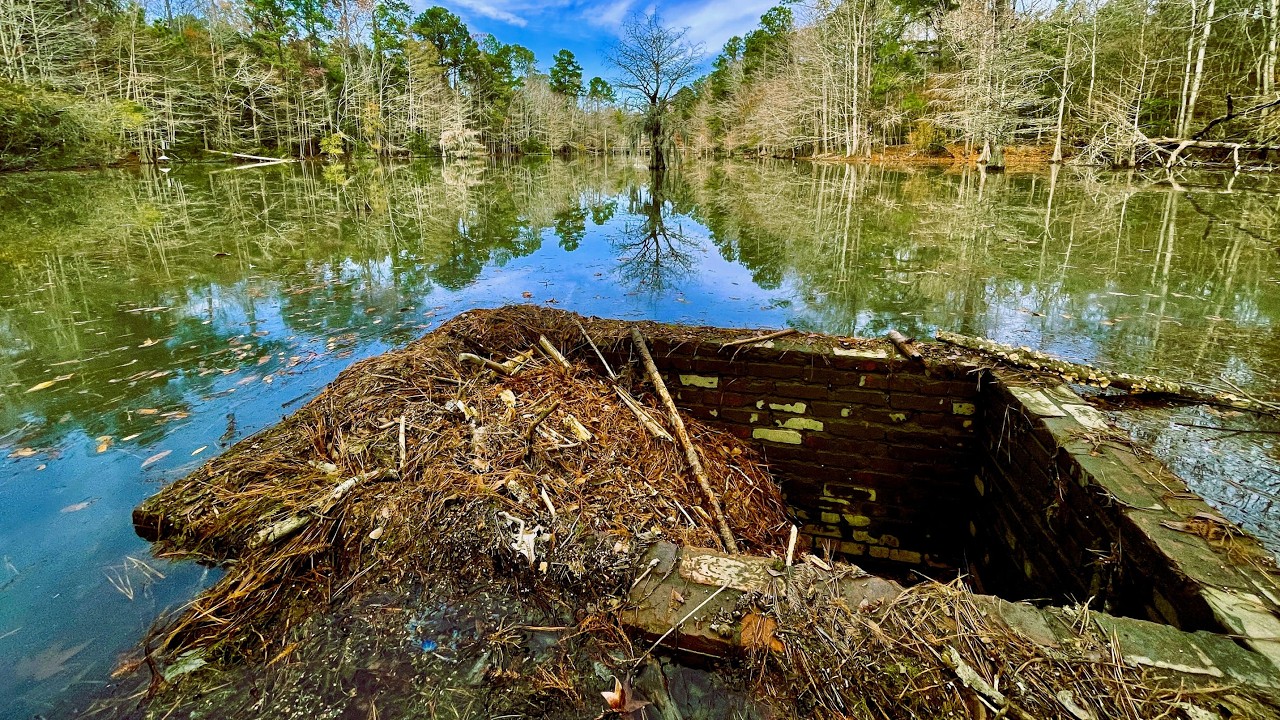 Exploring Abbey Nature Preserve (Post-Mungo) - Scotts Hill, North Carolina - POV