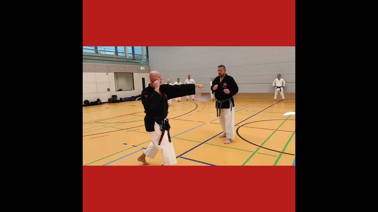 Karatepraxis Shotokan Kata Heian Nidan Bunkai - just playin'