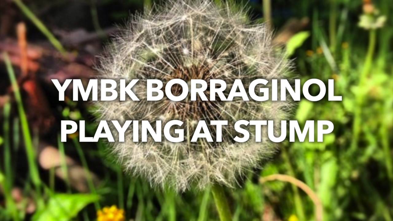 Ymbk Borraginol - Playing at Stump [Free Download]