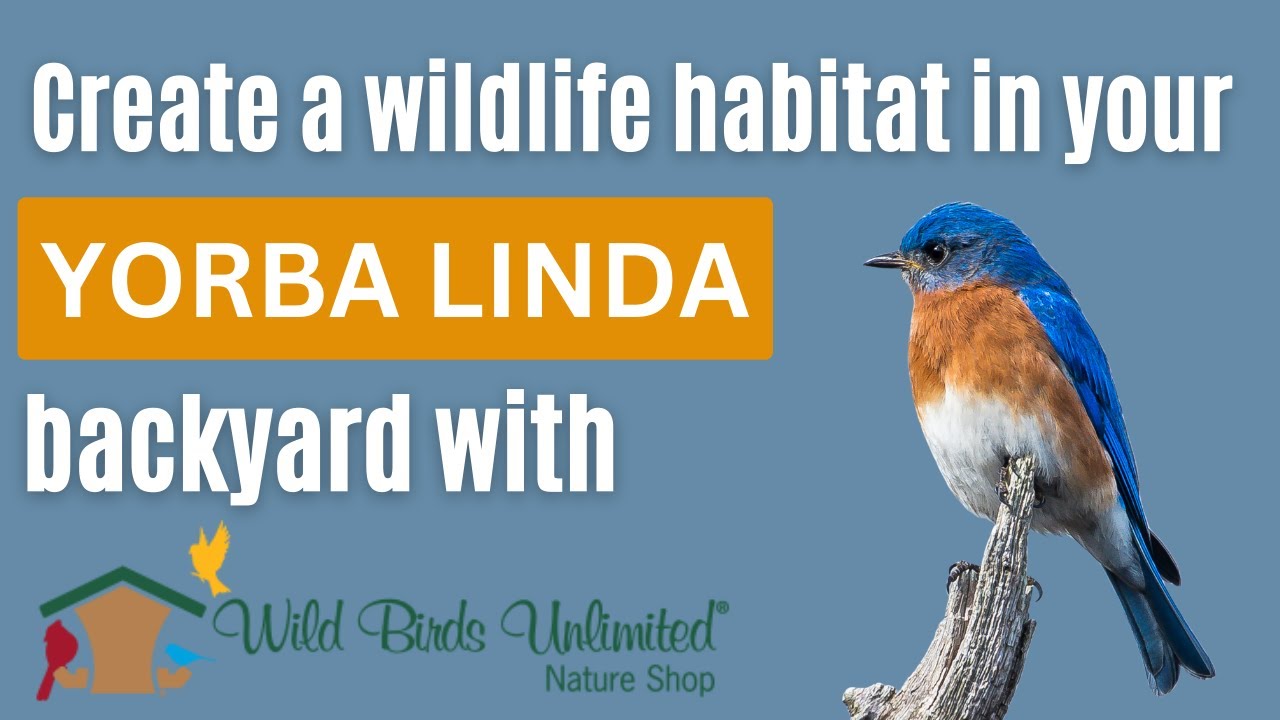 Wild Birds Unlimited Yorba Linda - Interview with the owners