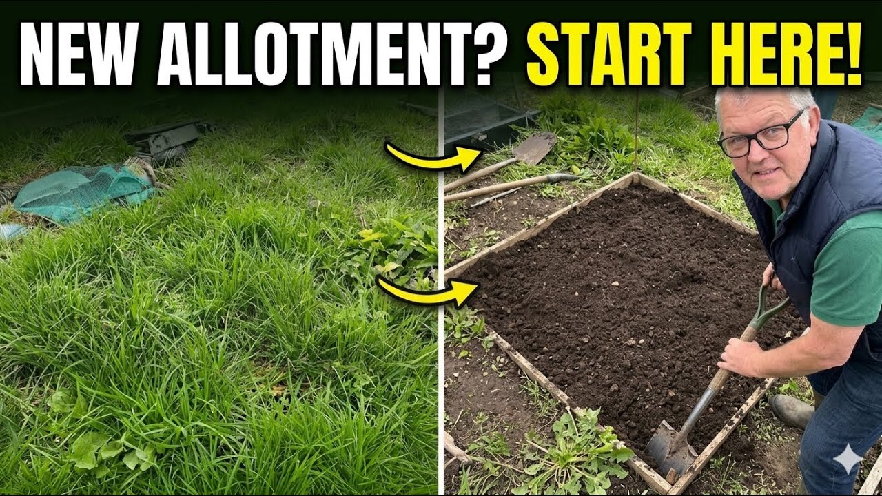 How to Start a Allotment Plot | Vegetable Garden