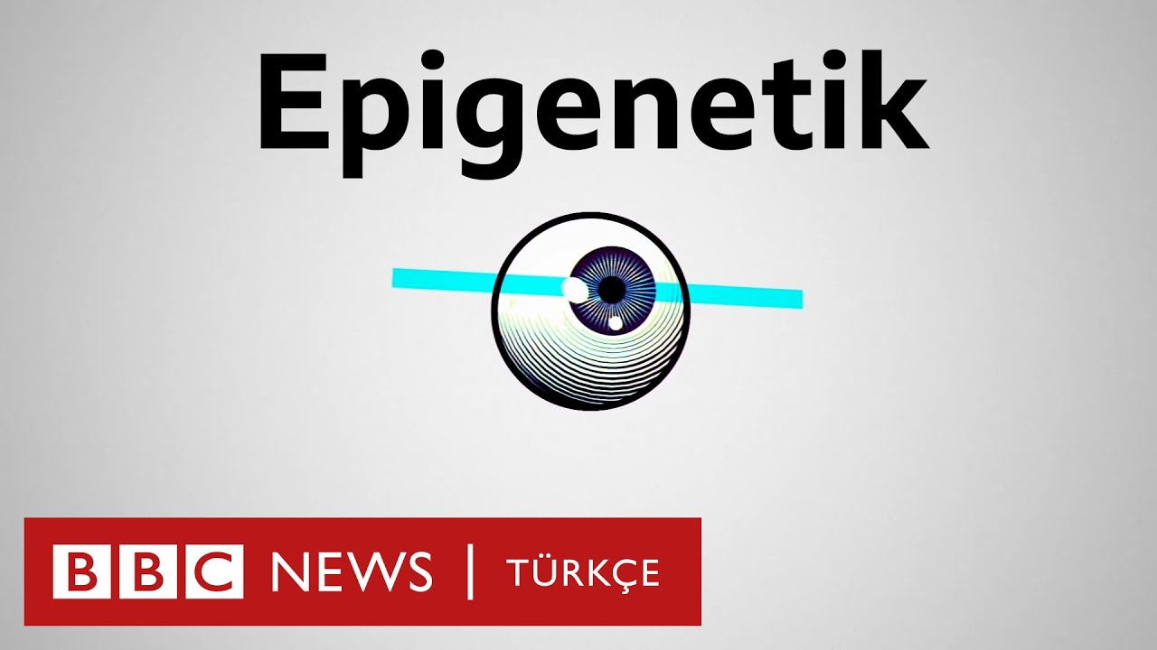 Epigenetik nedir, genlerimizi kontrol edebilir miyiz?