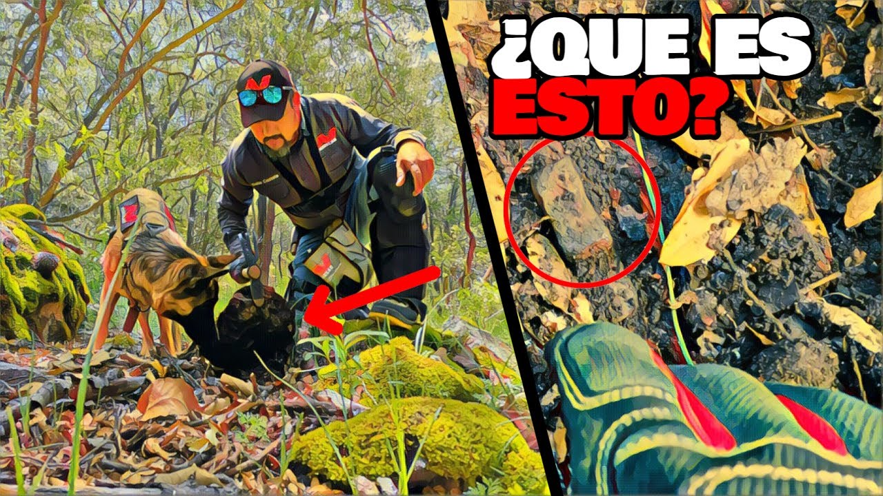 INCREÍBLE lo que Encontré en las RUINAS de una ANTIGUA Casa de Piedra!