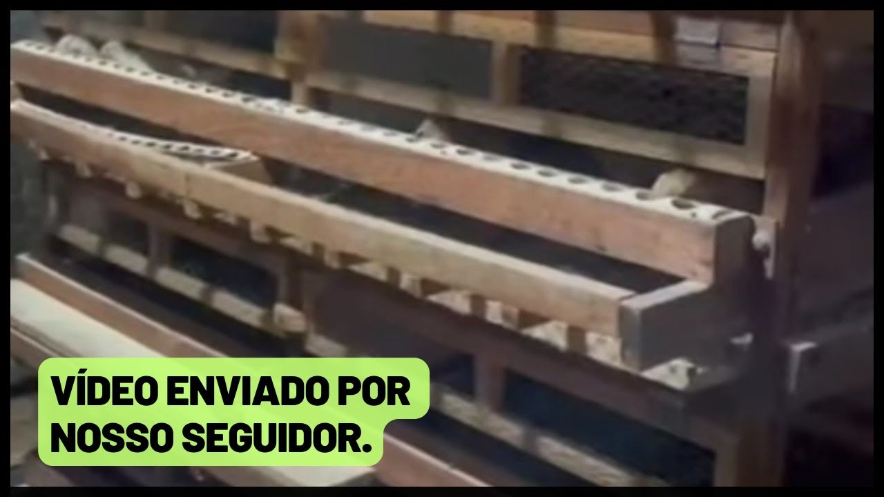 Ideia de viveiro para codornas | Samuel, Raul Soares MG, DISPONÍVEL para venda CONTATO NA DESCRIÇÃO.