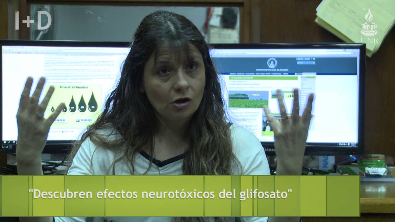 Descubren efectos neurot&oacute;xicos del glifosato