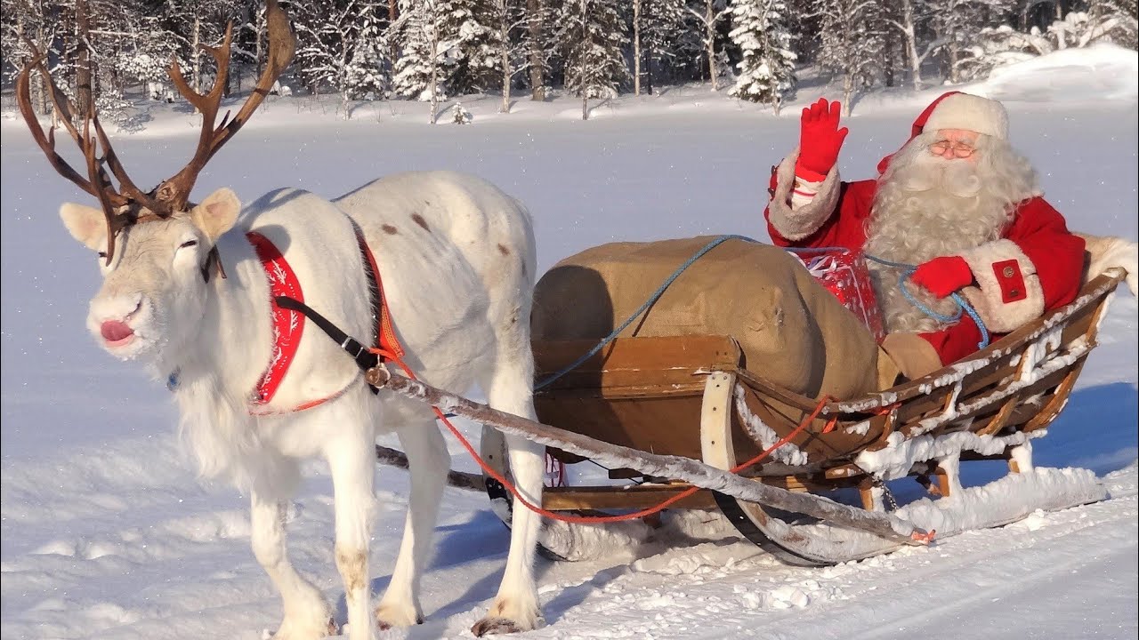 Дед Мороз для детей (с оленями🎅) – лучшие рождественские поездки на упряжках в Лапландии, Финляндия
