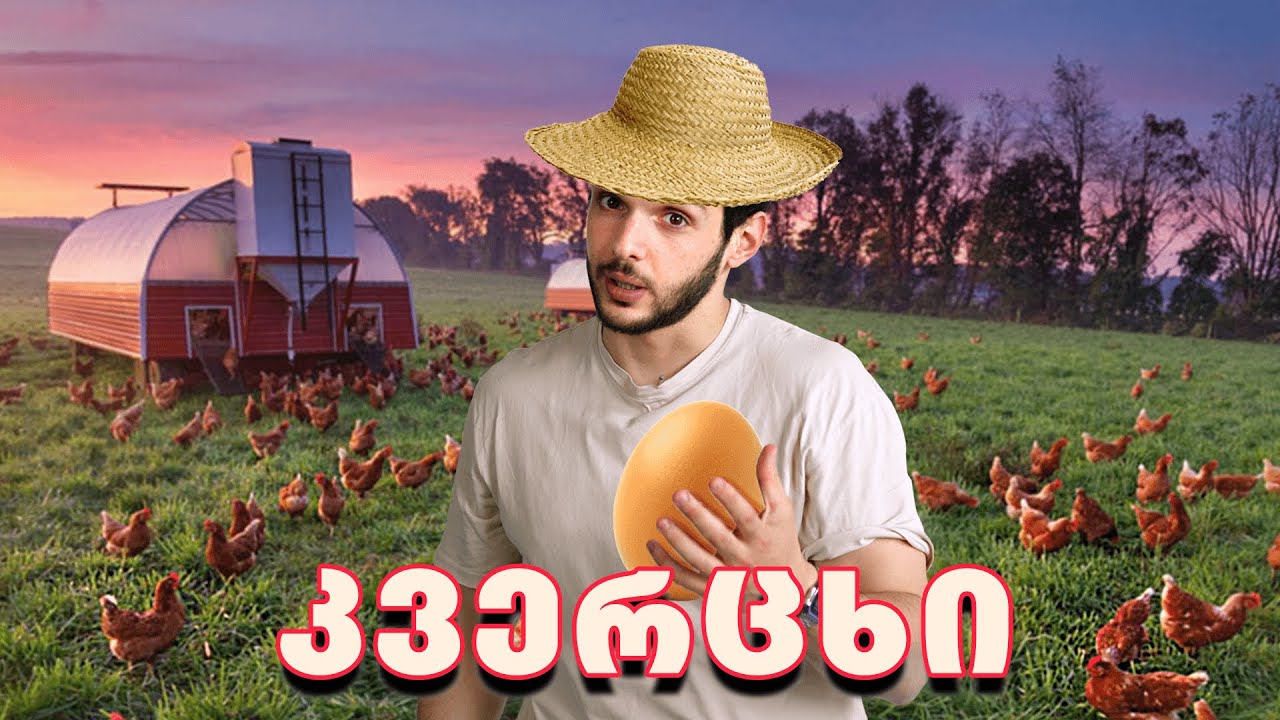 მისი უდიდებულესობა კვერცხი🥚
