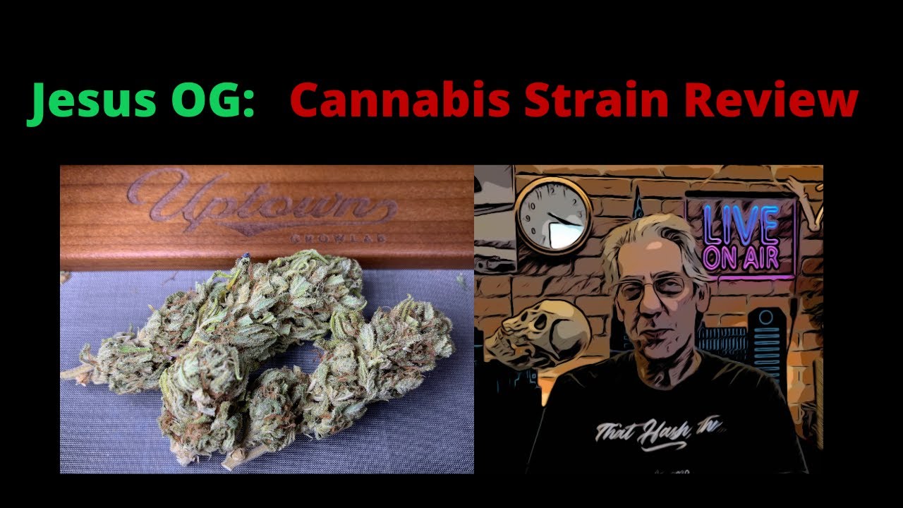 Jesus OG from Mainland Gardens Cannabis Strain Review