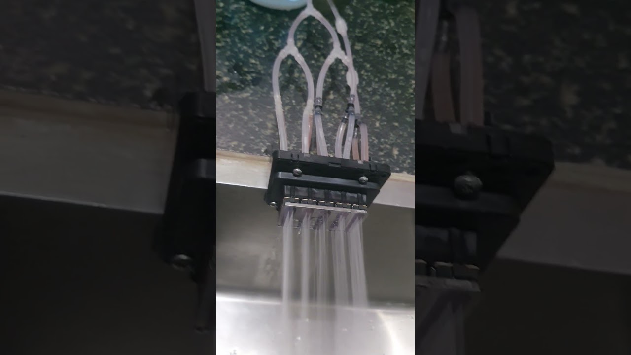Epson Dx6 print head cleaning