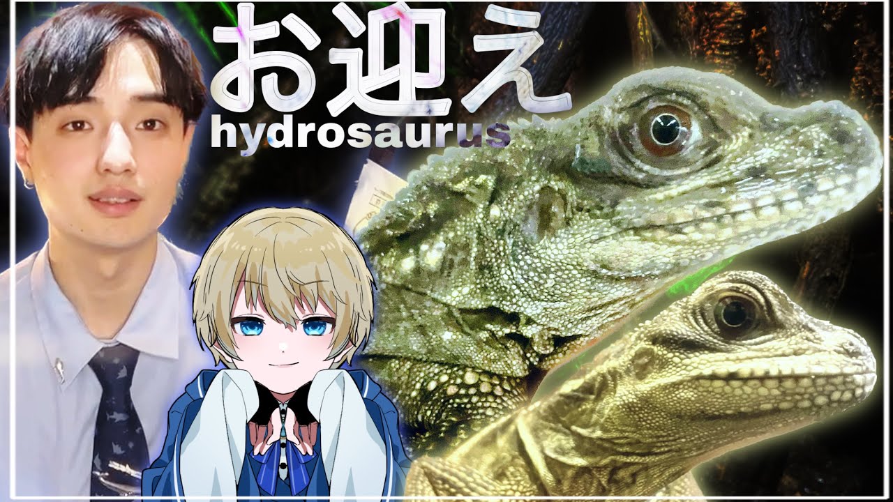 【ナゴレプ戦利品!!】爬虫類即売会で爆買い、またスピノサウルスをお迎え！。