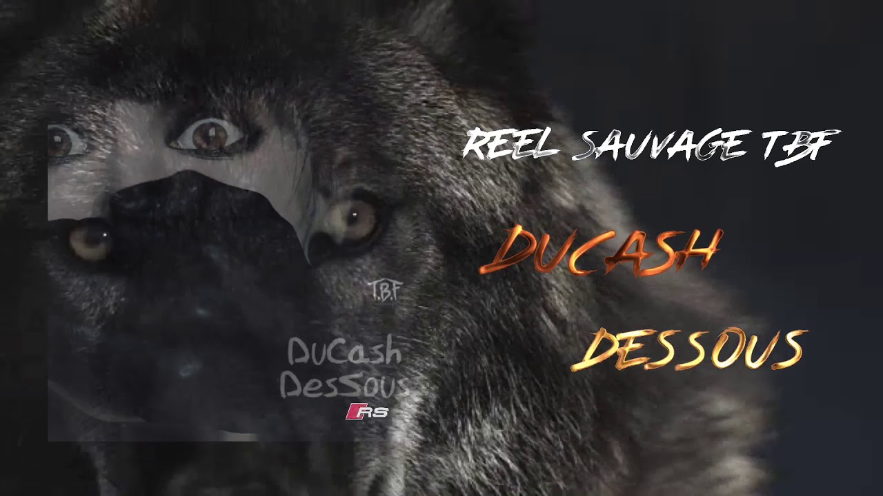 RS RÉEL SAUVAGE TBF - DU CASH DES SOUS