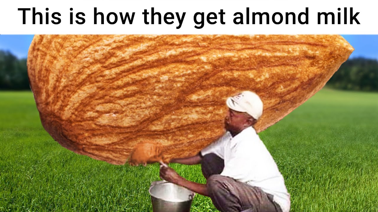 r/Surrealmemes | is it worth it??