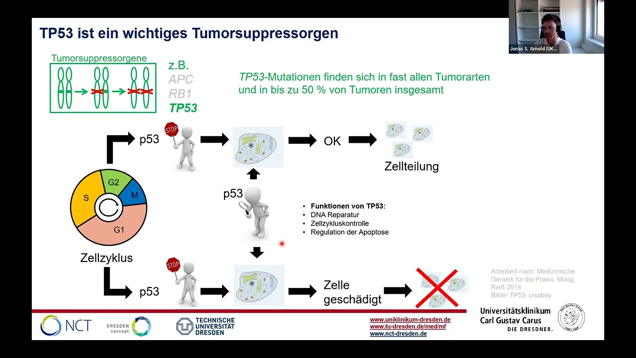 Online-Seminar für Patient:innen: Das Li-Fraumeni Syndrom und die Bedeutung für Sarkome