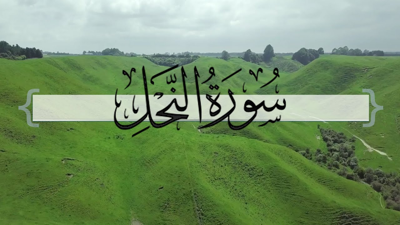 { سورة النحل} | ماجد العنزي .