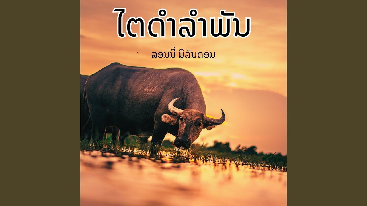 ໄຕດຳລຳພັນ