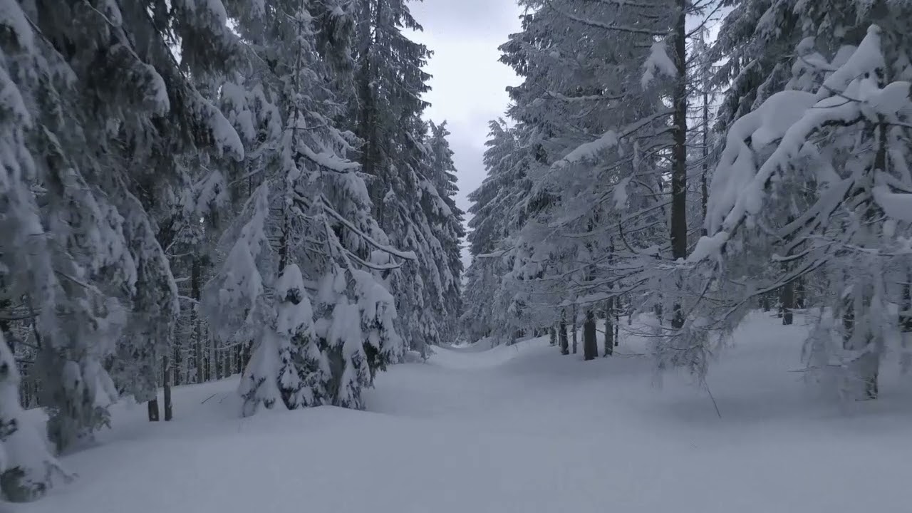 Inspiring Scenery Relaxation Piano With Snowfalls in Winter For Peaceful Meditation Study & Sleep