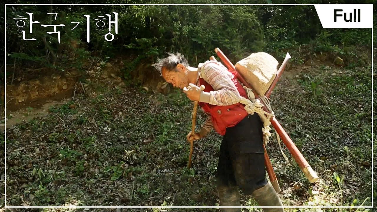 [Full] 한국기행 - 호남명산기행 4부 천관산 20150618