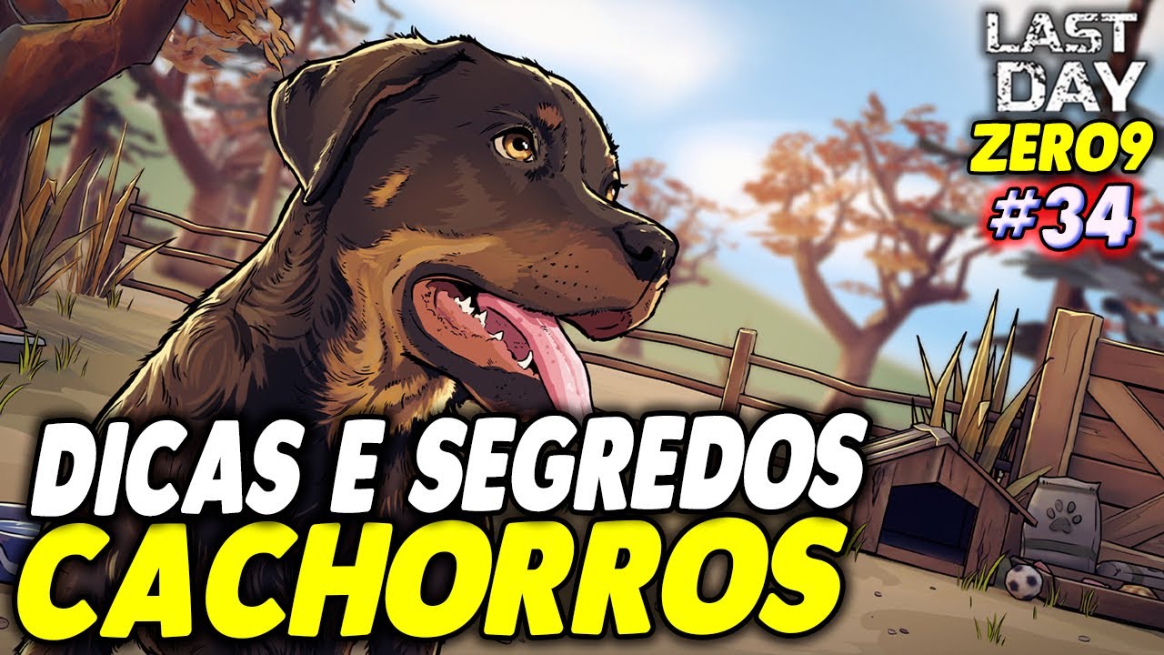 DICAS E SEGREDOS DOS CACHORROS E AMIGO DE VERDADE - LAST DAY DO ZERO 9 #034
