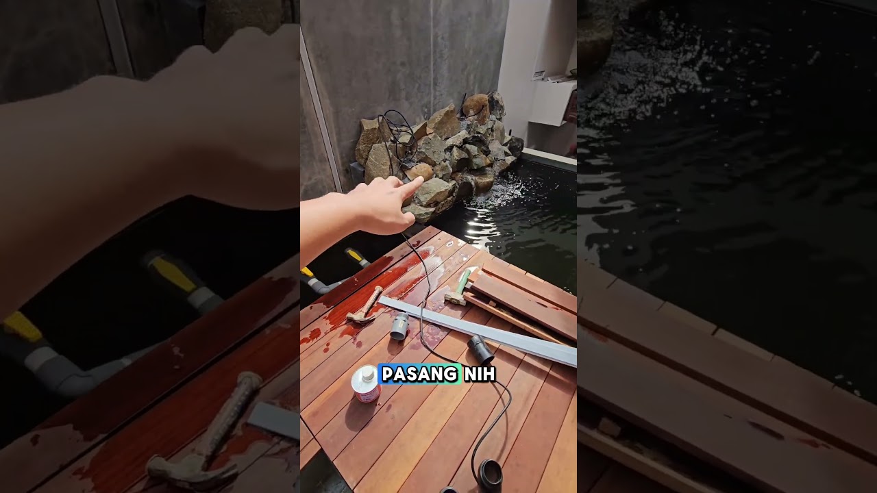 SPILL KOLAM KOI DIRUMAH PAKDE KEKO #koi #ikankoi #koifish #koilover #koipond #kolamkoi #kolamikan