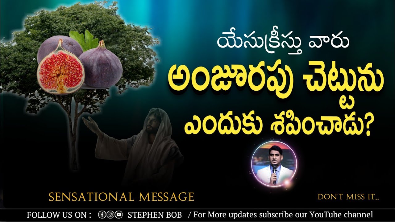 యేసుక్రీస్తు వారు అంజూరపు చెట్టును ఎందుకు శపించాడు? || SENSATIONAL MESSAGE || STEPHEN BOB ||