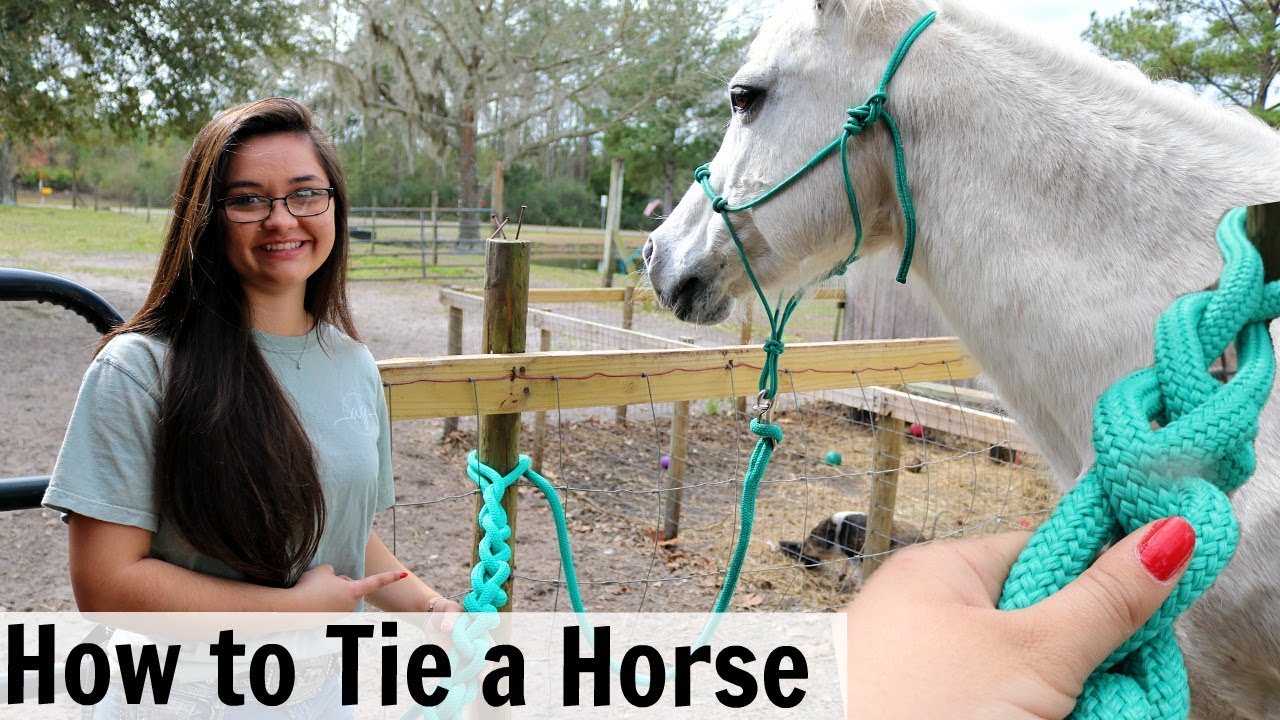 Quick Release Knots - How to Tie a Horse to a Post & Hitching Post