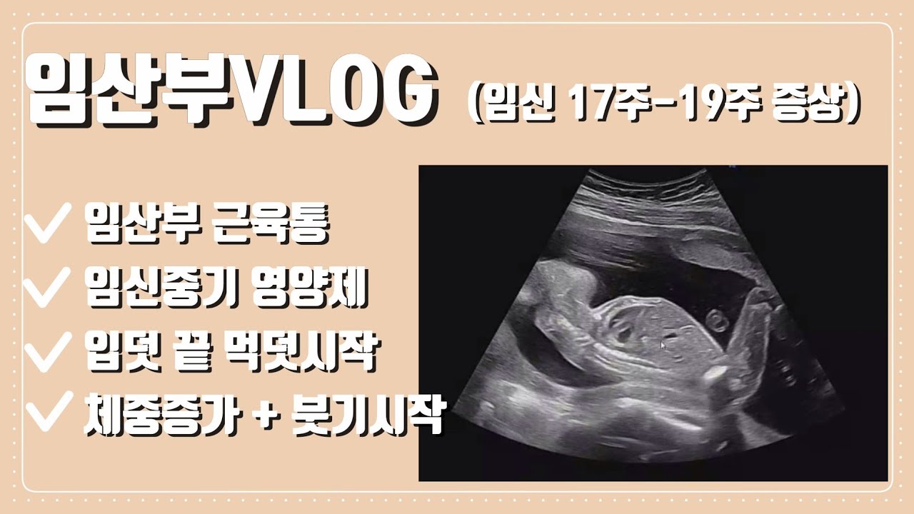 [임산부브이로그]임신 17주-19주 일상과 증상 |임신 중기증상 | 임신 중기 팔통증 | 슬슬 사기 시작한 임부복 | 입덧 끝 먹덧 시작 | 임신중기영양제