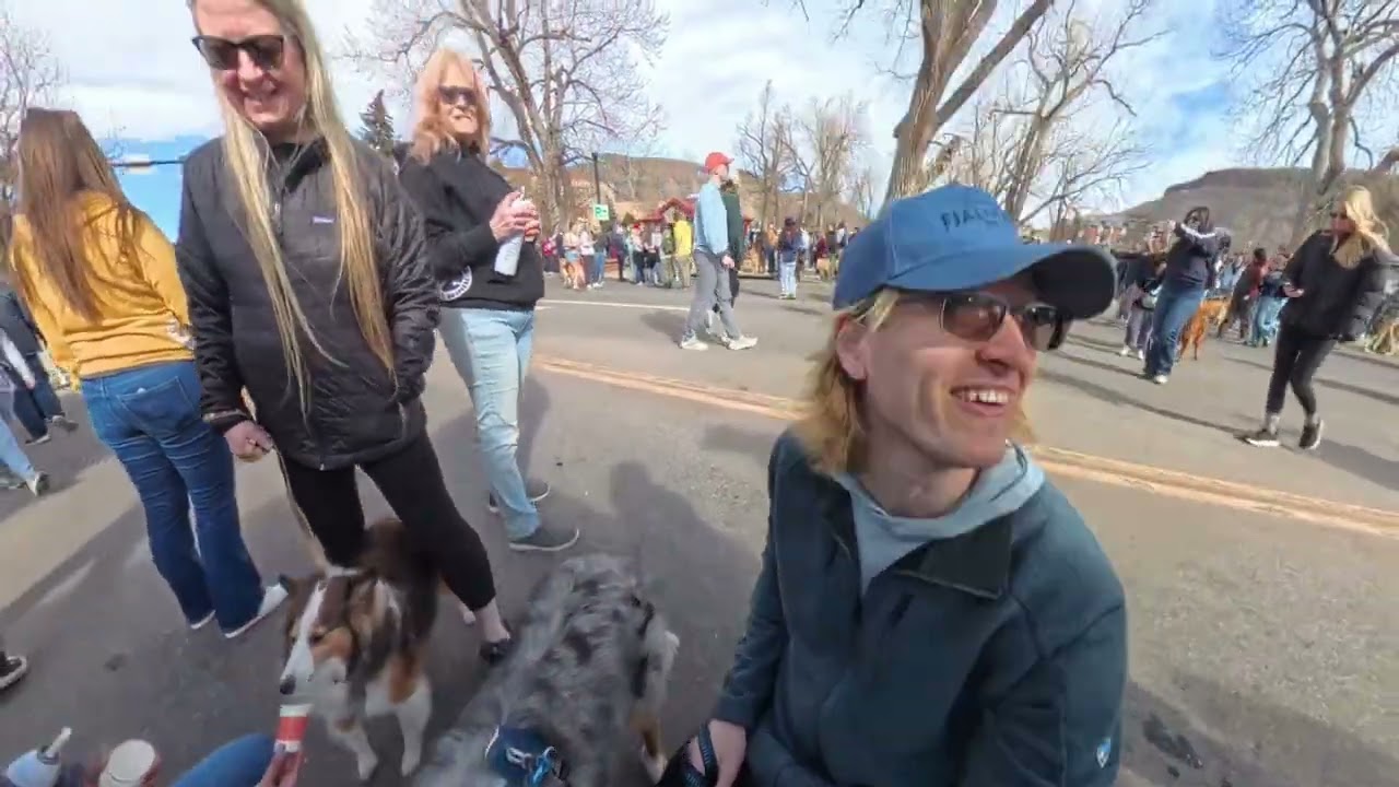 Bear in Golden with Goldens