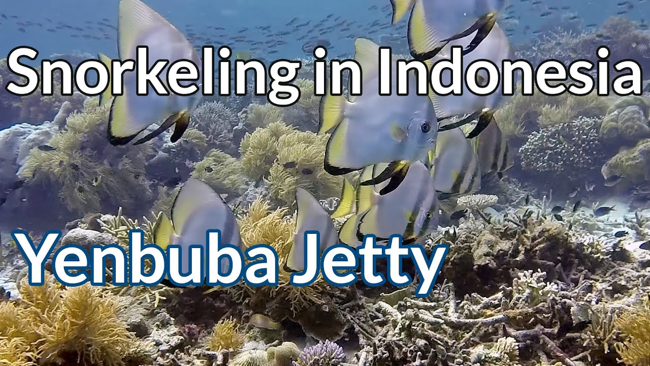 Yenbuba Jetty - Snorkeling in Indonesia