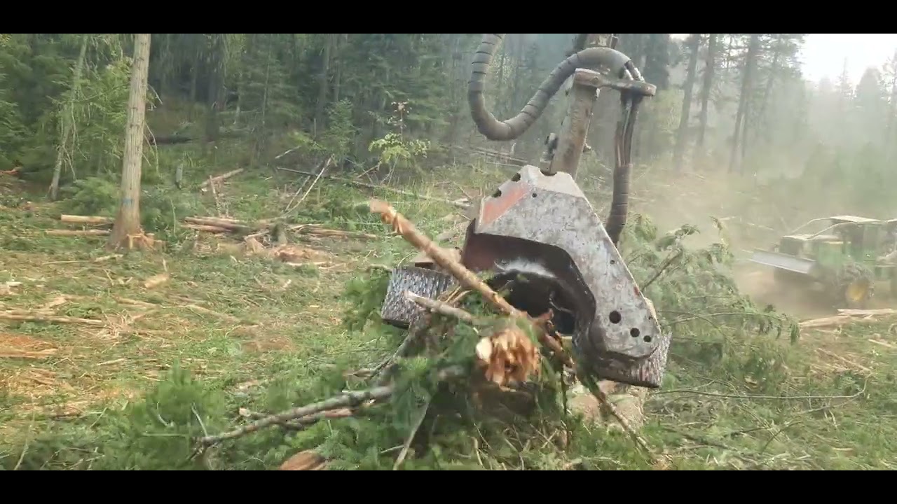 logging log max 7000xt