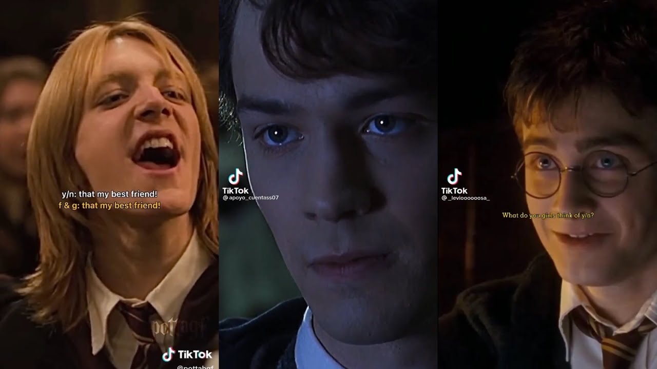 Harry Potter Boys x Y/N TikTok POV