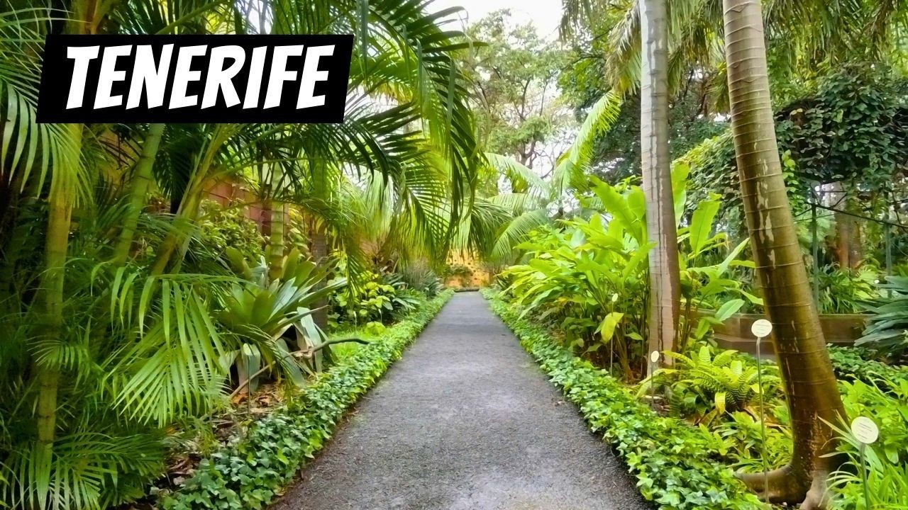 Exploring the Botanical Garden of PUERTO DE LA CRUZ TENERIFE (Silent Tour)